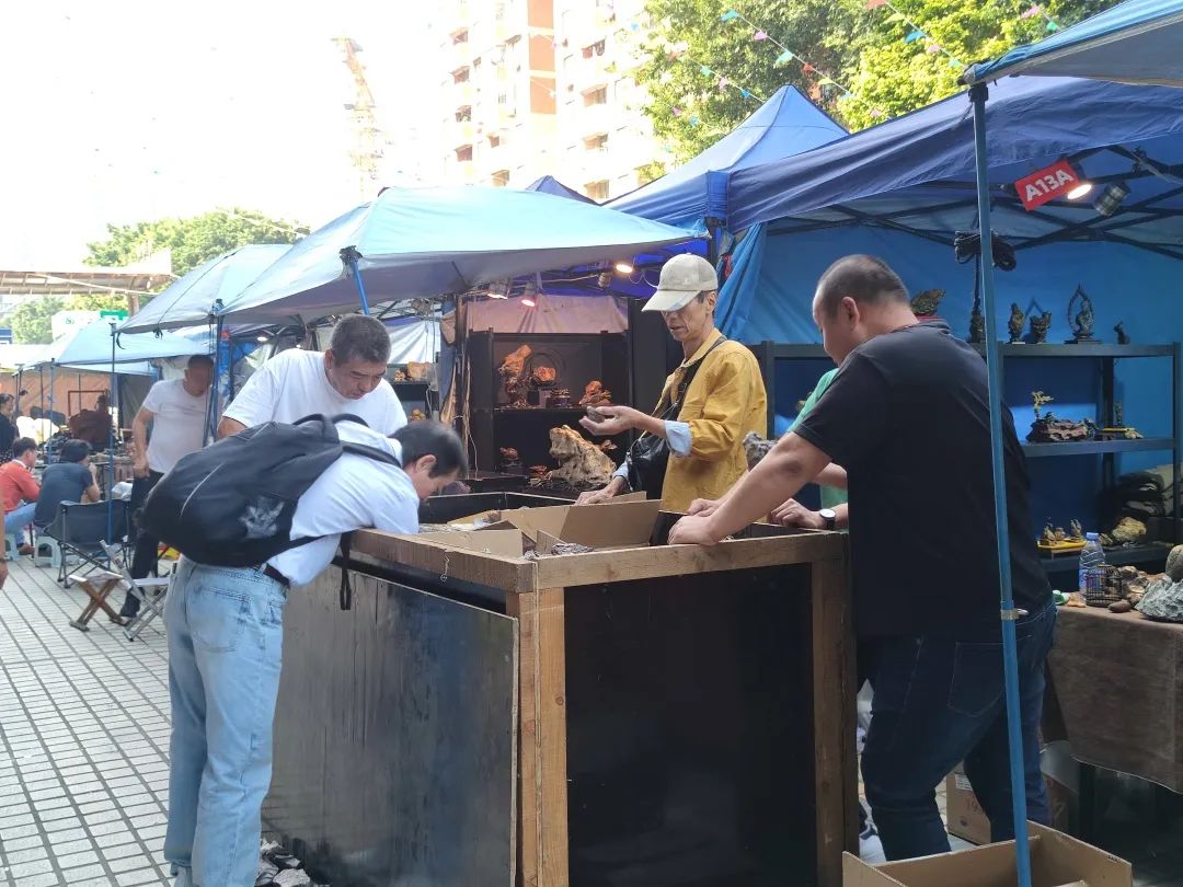 广州花地湾石博会明天开幕 