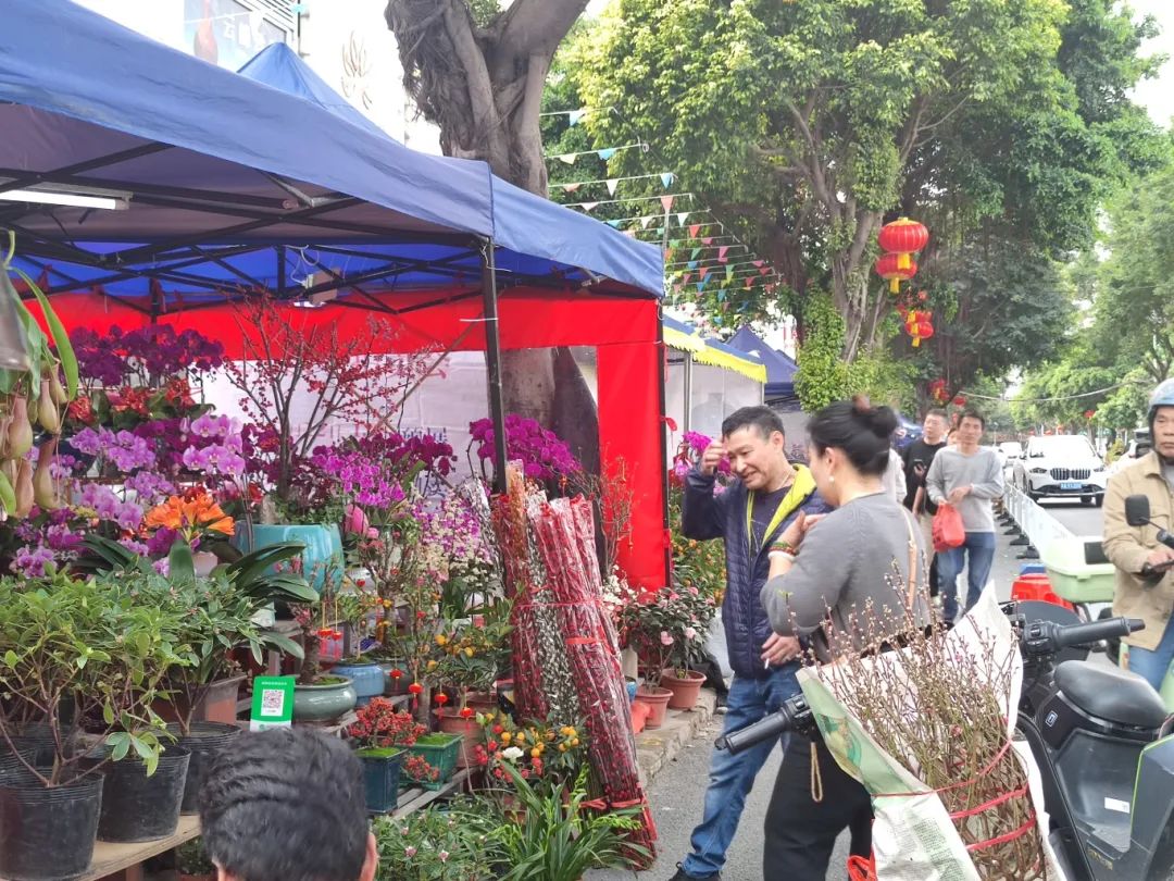 买年花过大年！花地湾古玩城迎春花市开锣啦！