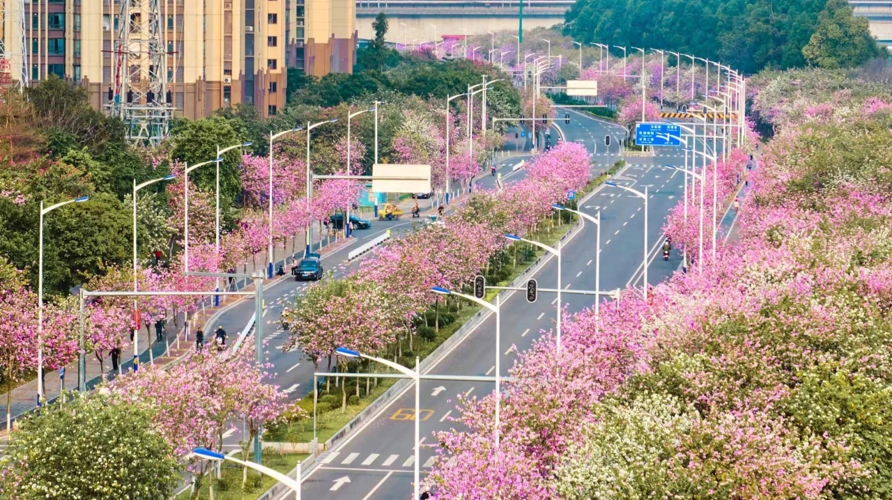 花地湾